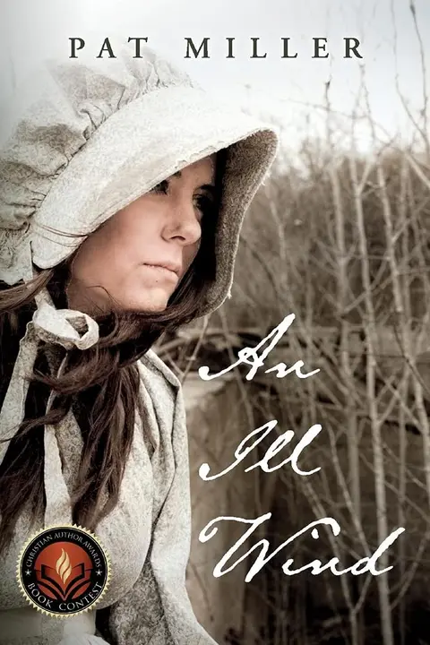 Cover of An Ill Wind