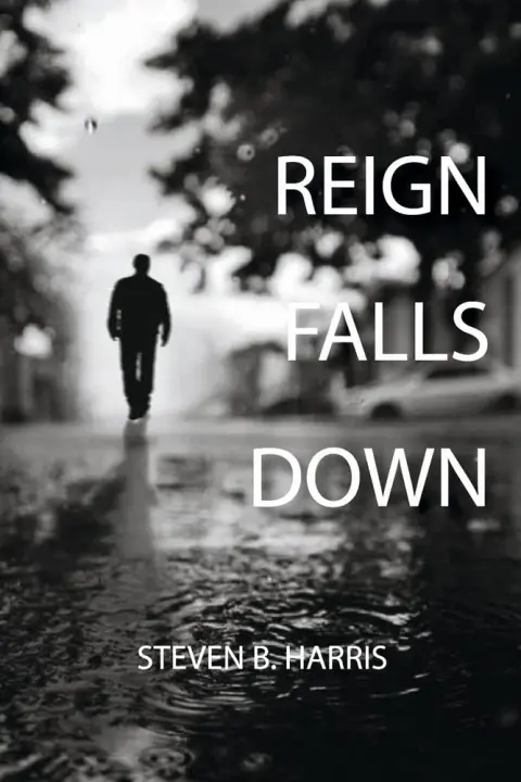 Cover of Reign Falls Down