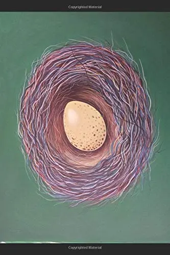 Cover of Clear Meaning