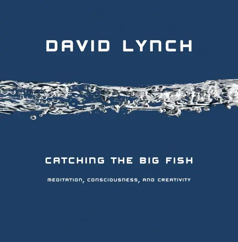 Cover of Catching the Big Fish