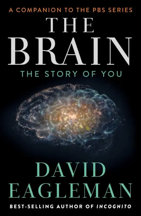 Cover of The Brain