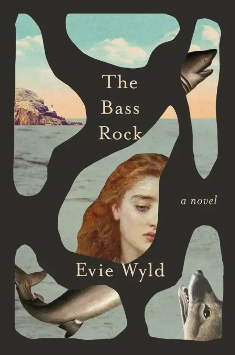 Cover of The Bass Rock
