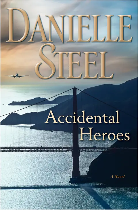 Cover of Accidental Heroes