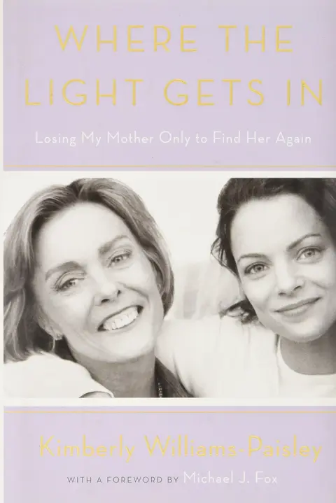 Cover of Where the Light Gets in