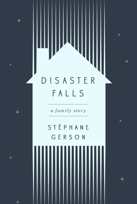 Cover of Disaster Falls