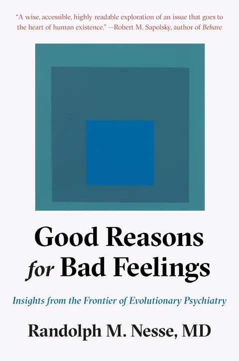 Cover of Good Reasons for Bad Feelings