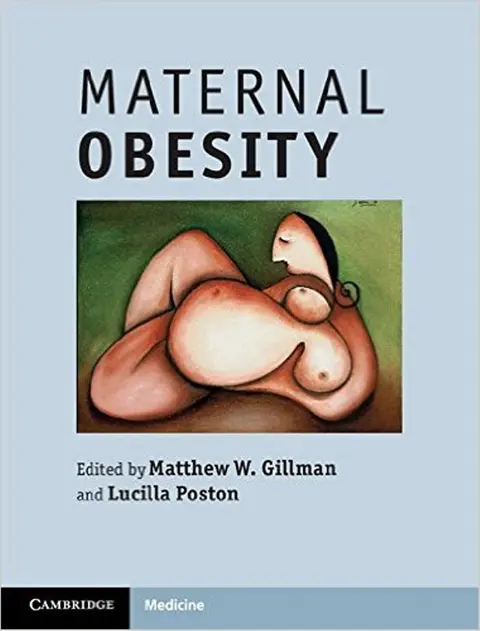 Cover of Maternal Obesity