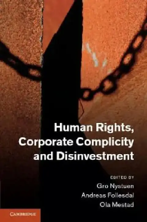 Cover of Human Rights, Corporate Complicity and Disinvestment