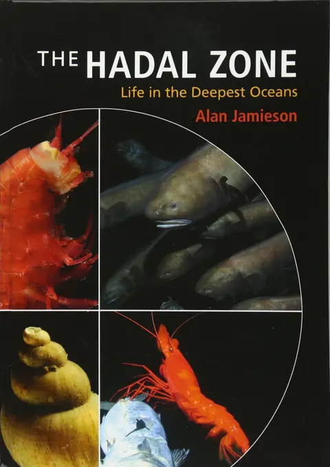 Cover of The Hadal Zone