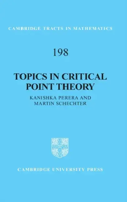 Cover of Topics in Critical Point Theory