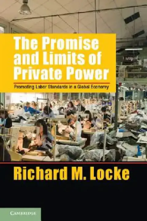Cover of The Promise and Limits of Private Power