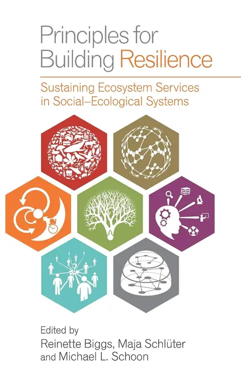 Cover of Principles for Building Resilience