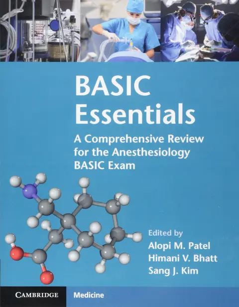 Cover of BASIC Essentials