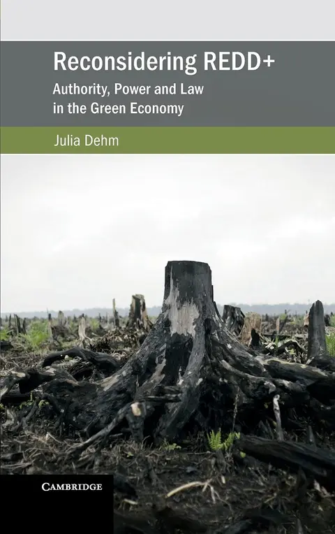 Cover of Reconsidering REDD+