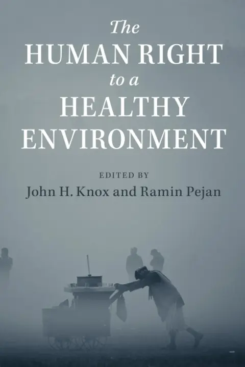 Cover of The Human Right to a Healthy Environment