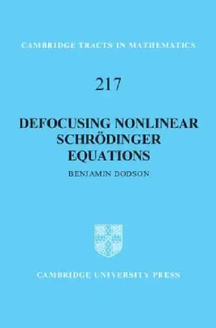 Cover of Defocusing Nonlinear Schrödinger Equations
