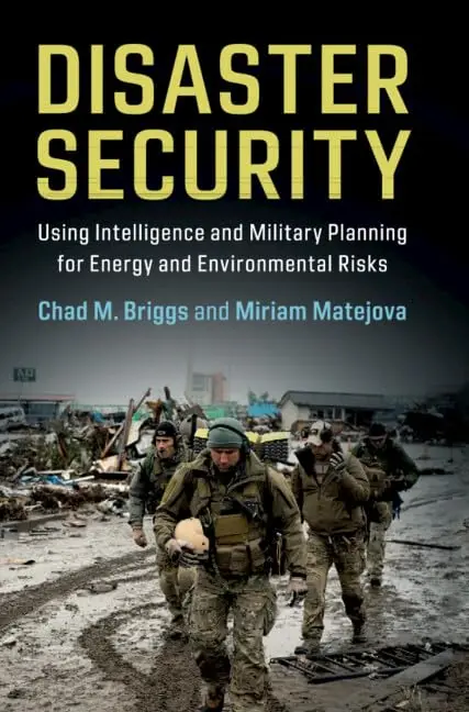 Cover of Disaster Security