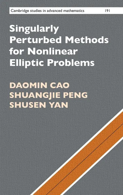 Cover of Singularly Perturbed Methods for Nonlinear Elliptic Problems