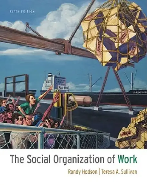 Cover of The Social Organization of Work