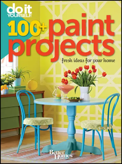 Cover of Do It Yourself 100 Paint Projects