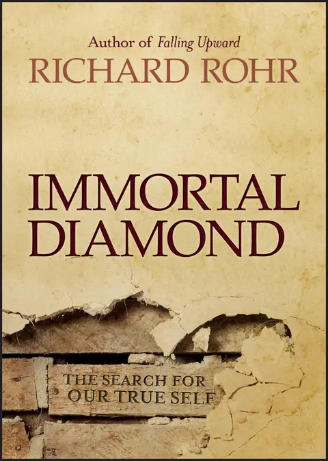 Cover of Immortal Diamond