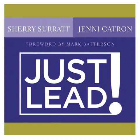 Cover of Just Lead!