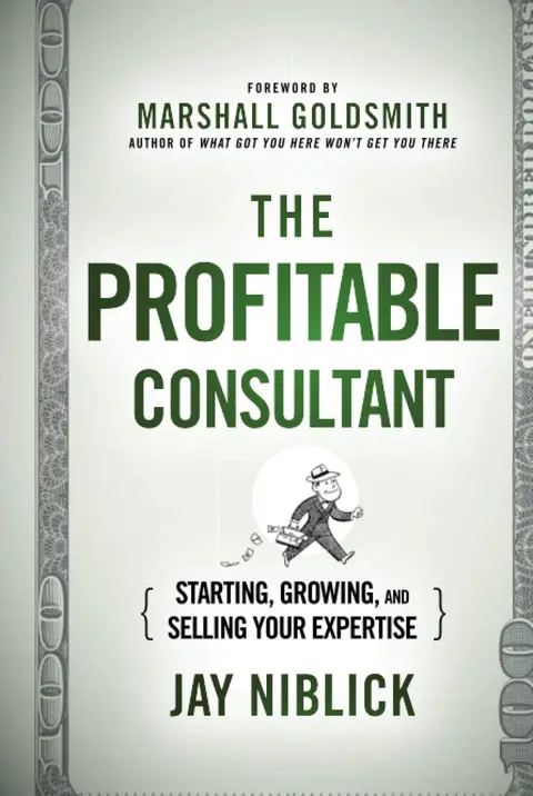 Cover of The Profitable Consultant