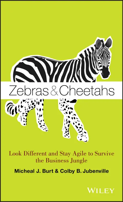 Cover of Zebras & Cheetahs