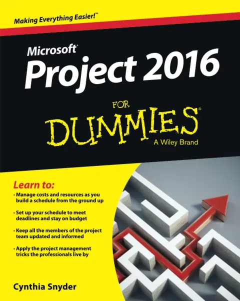 Cover of Project 2016 for Dummies