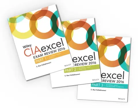 Cover of Wiley CIAexcel Exam Review 2016