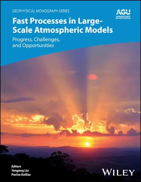Cover of Fast Processes in Large Scale Atmospheric Models