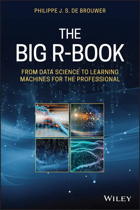 Cover of The Big R-Book