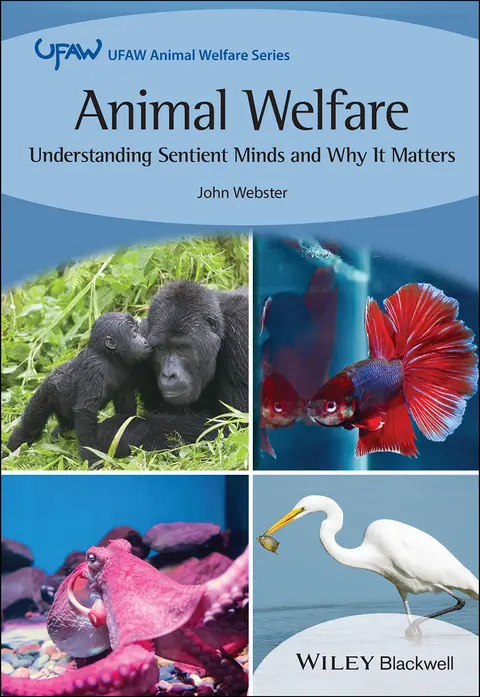 Cover of Animal Welfare