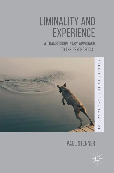 Cover of Liminality and Experience