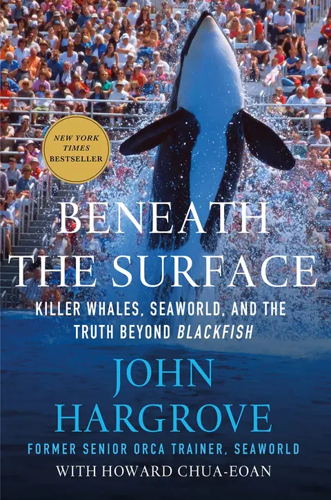 Cover of Beneath the Surface
