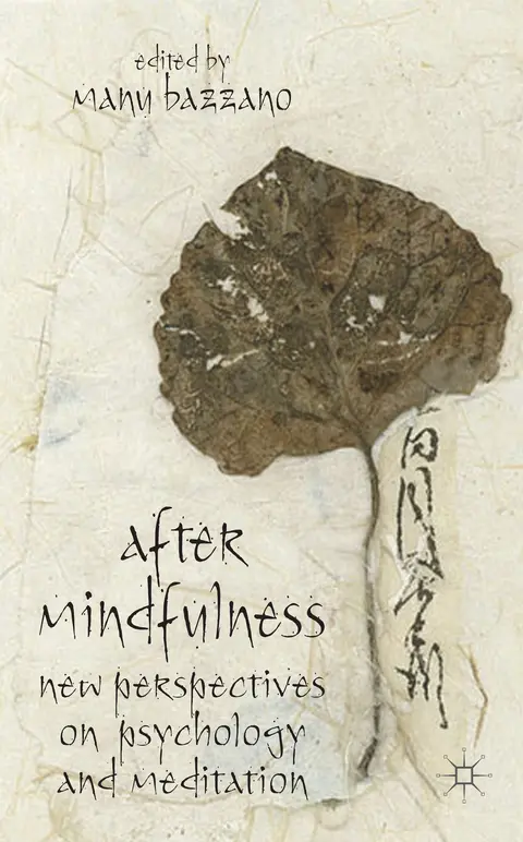 Cover of After Mindfulness