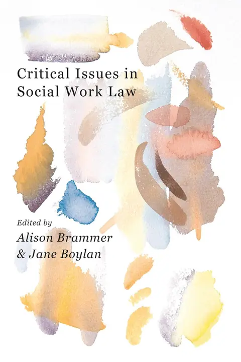 Cover of Critical Issues in Social Work Law