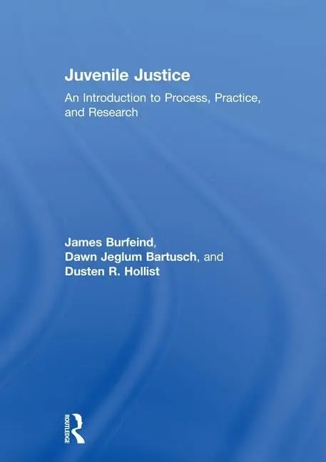 Cover of Juvenile Justice