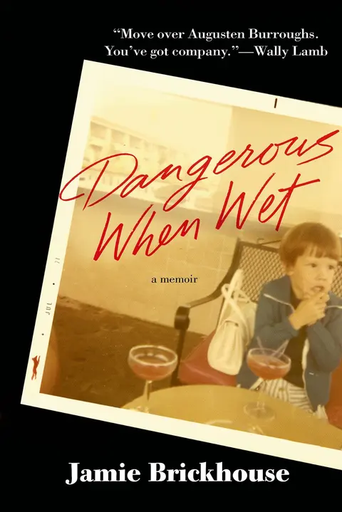 Cover of Dangerous When Wet