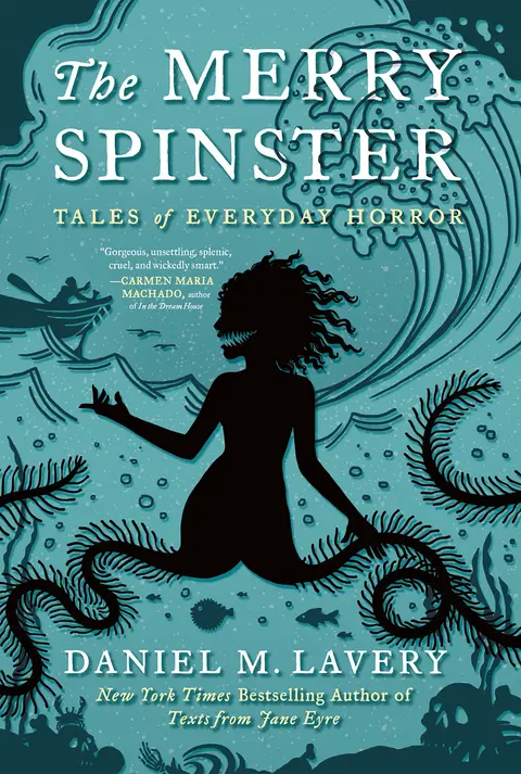 Cover of The Merry Spinster