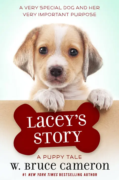 Cover of Lacey's Story