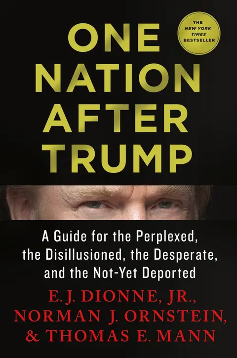 Cover of One Nation After Trump