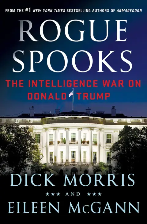 Cover of Rogue Spooks