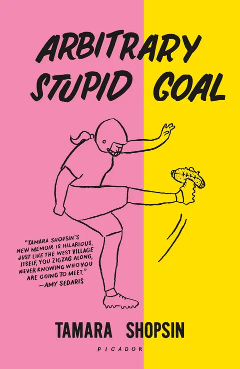 Cover of Arbitrary Stupid Goal