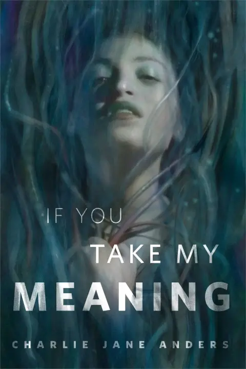 Cover of If You Take My Meaning