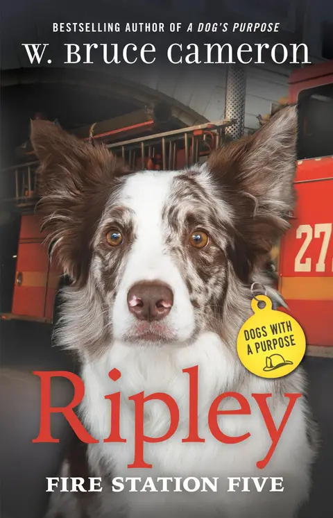 Cover of Ripley