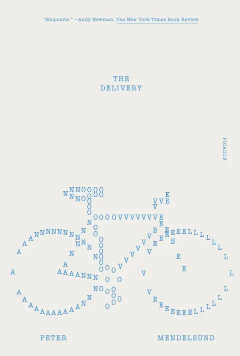 Cover of The Delivery