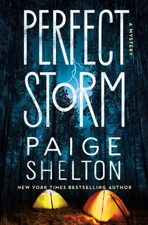 Cover of Perfect Storm