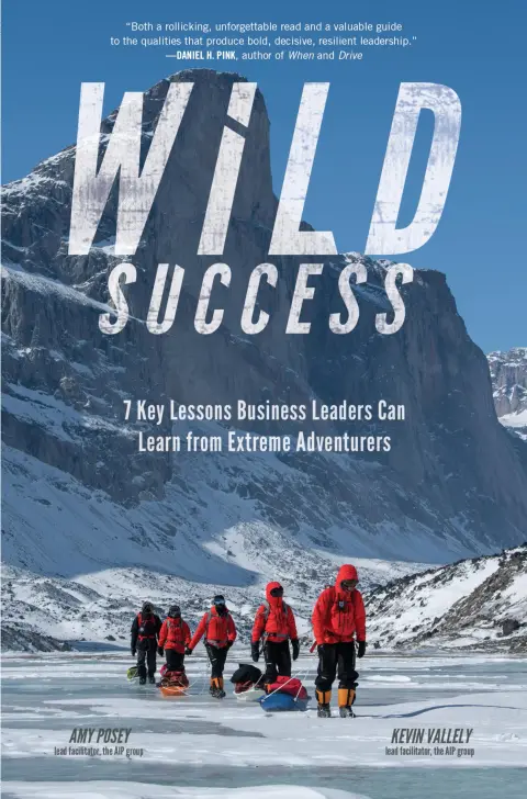 Cover of Wild Success