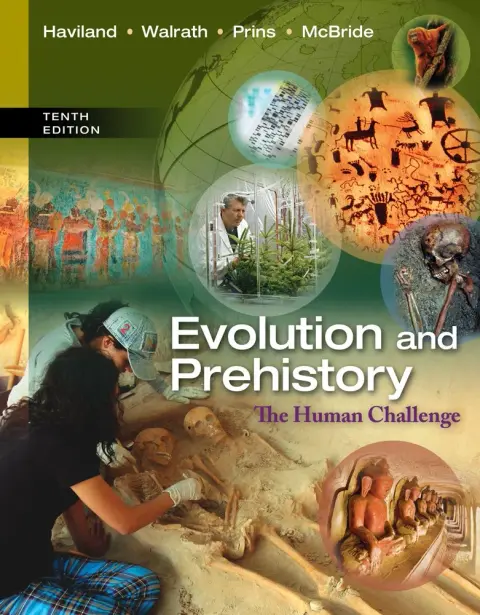 Cover of Evolution and Prehistory
